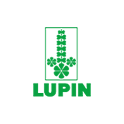 Lupin